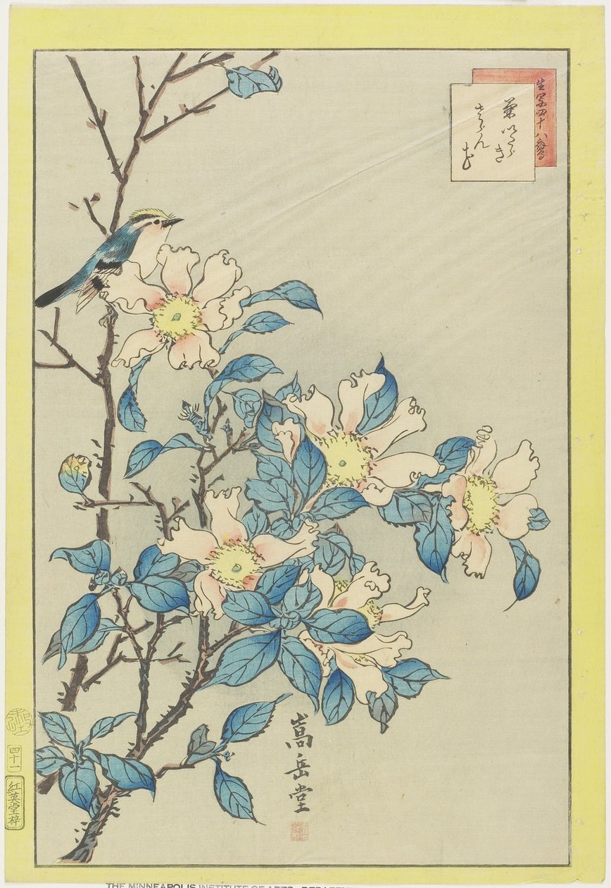 Niebieski ptak i różowe kwiaty, 1859 (kolorowy drzeworyt) autorstwa Nakayama Sugakudo