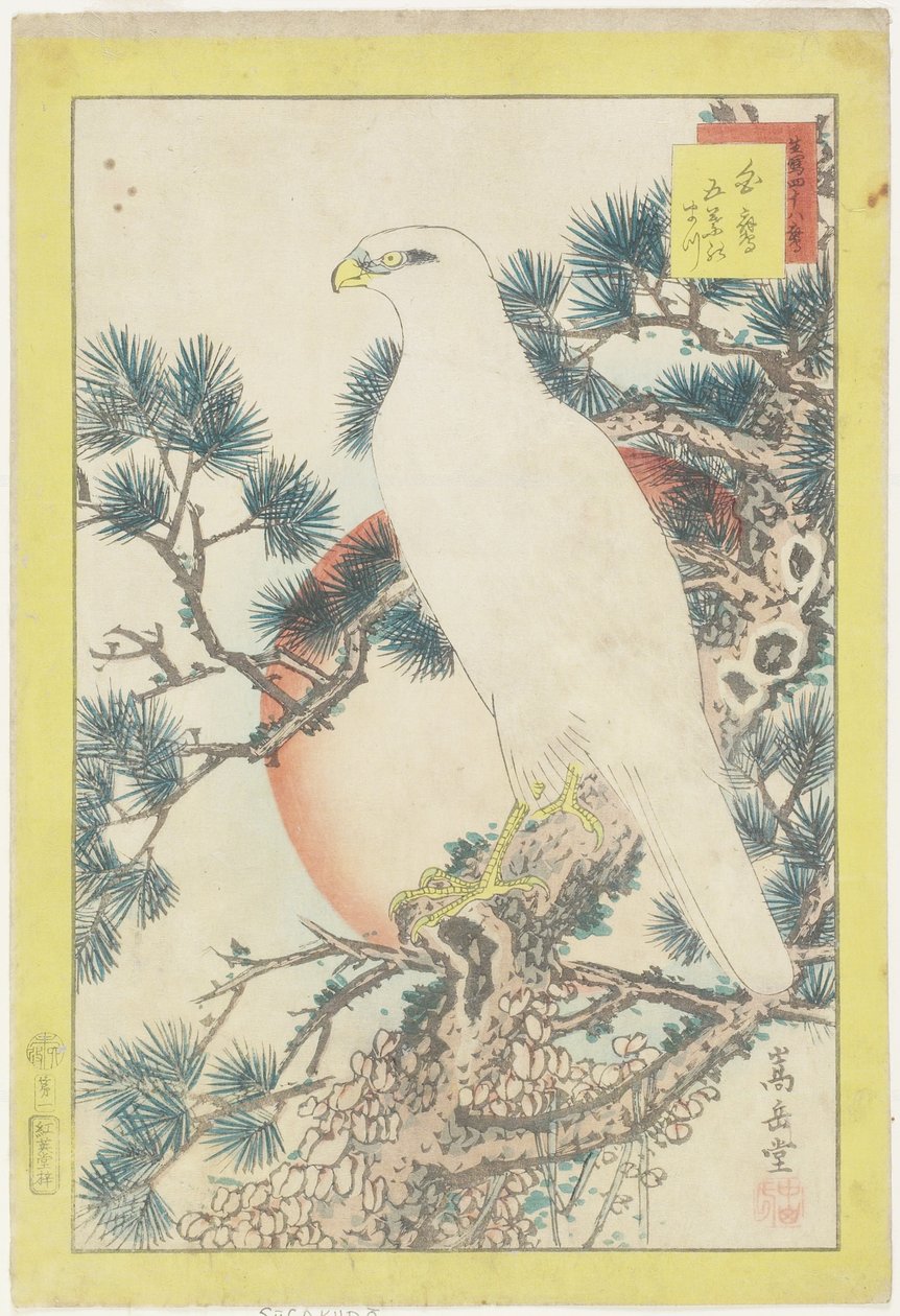 Nr 1, Biały Sokół i Pięcioigłowa Sosna, 1859 (kolorowy drzeworyt) autorstwa Nakayama Sugakudo