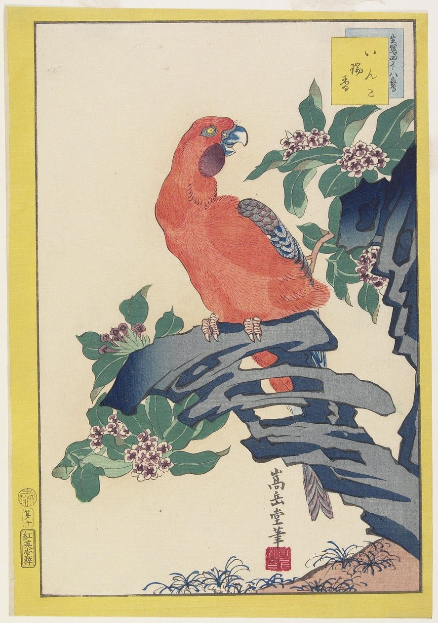 Różowa papuga na skale, 1859 (kolorowy drzeworyt) autorstwa Nakayama Sugakudo