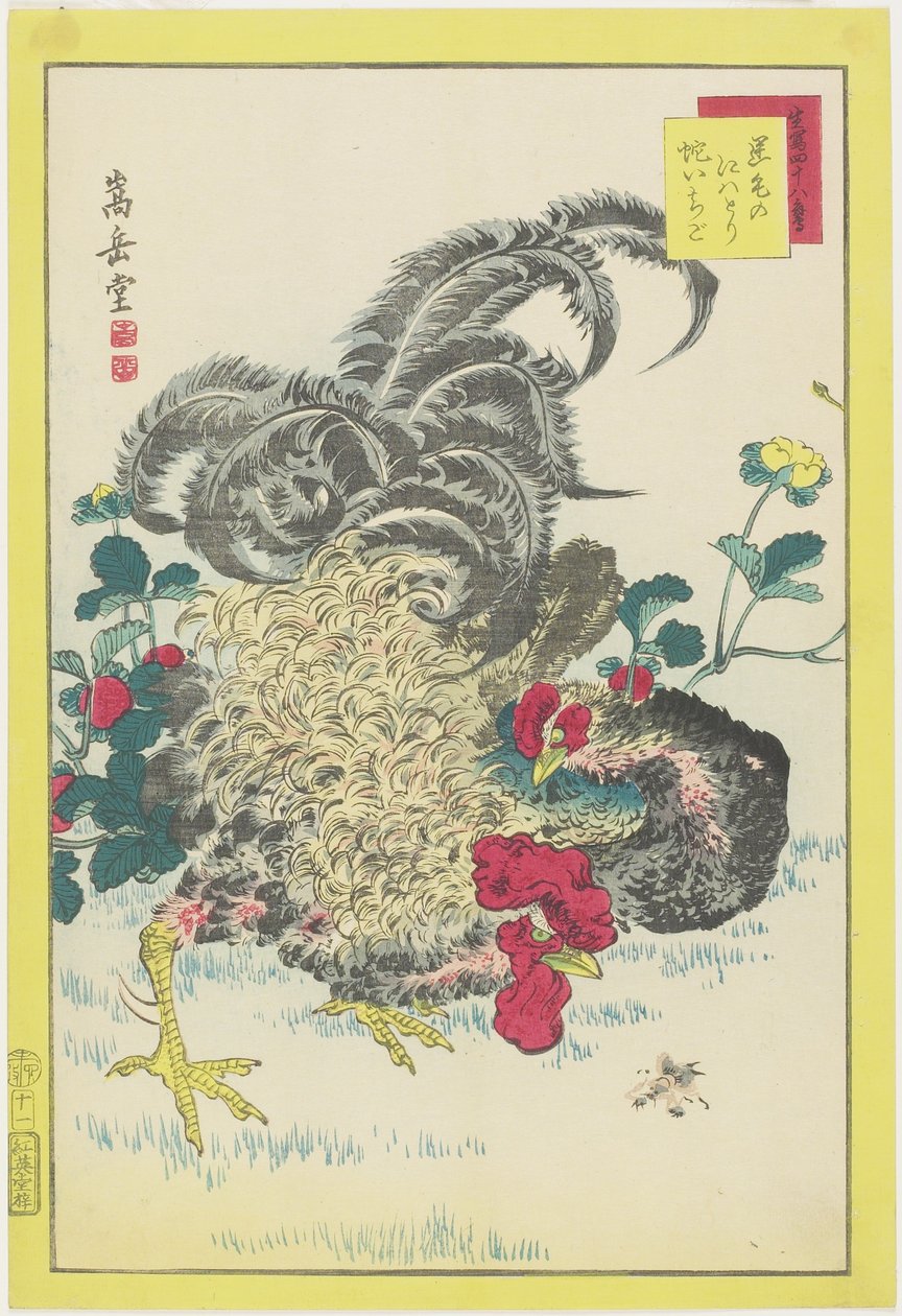 Kogut i maliny, czerwiec 1859 (kolorowy drzeworyt) autorstwa Nakayama Sugakudo