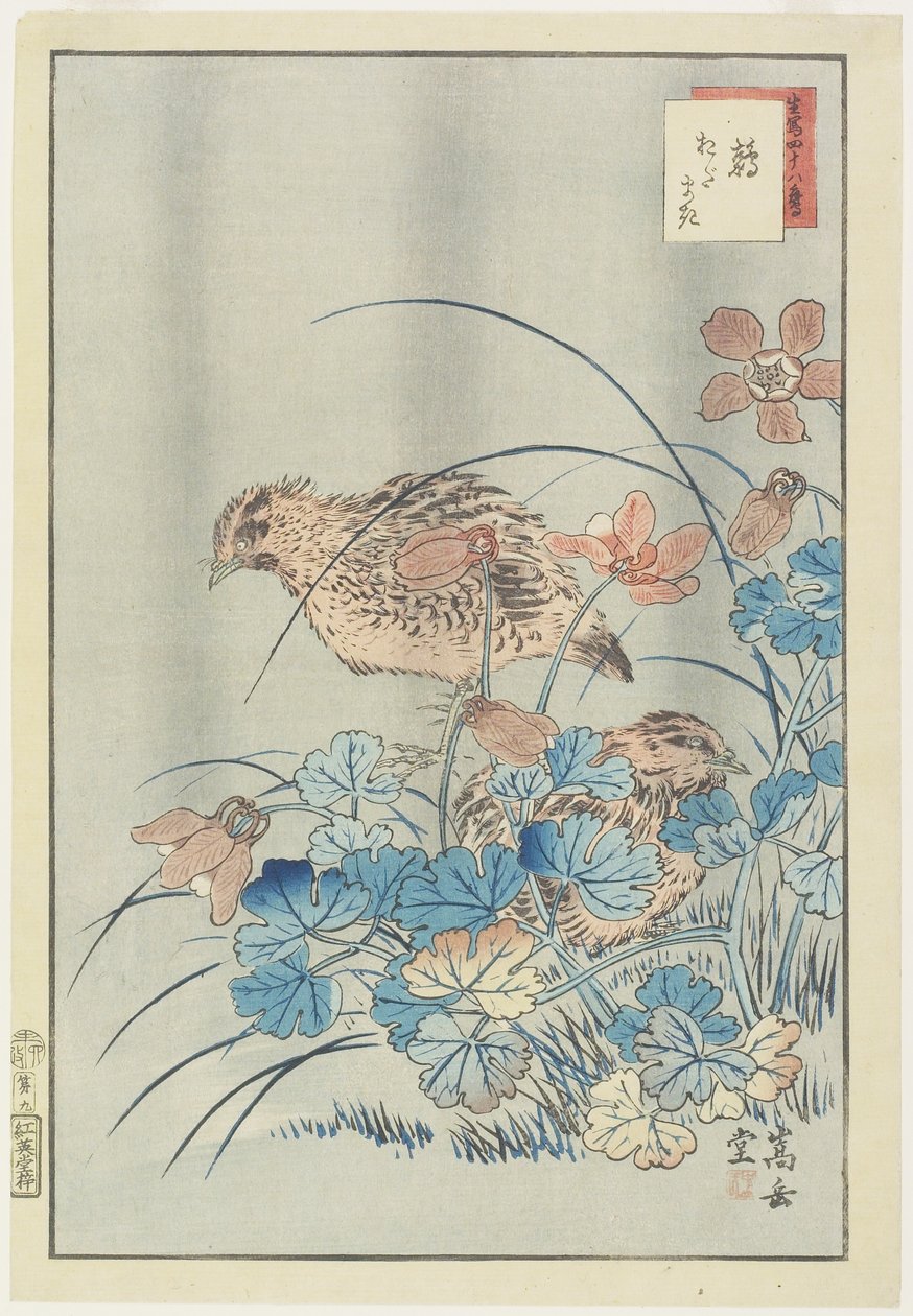 Dwie przepiórki w krzaku, 1859 (kolorowy drzeworyt) autorstwa Nakayama Sugakudo