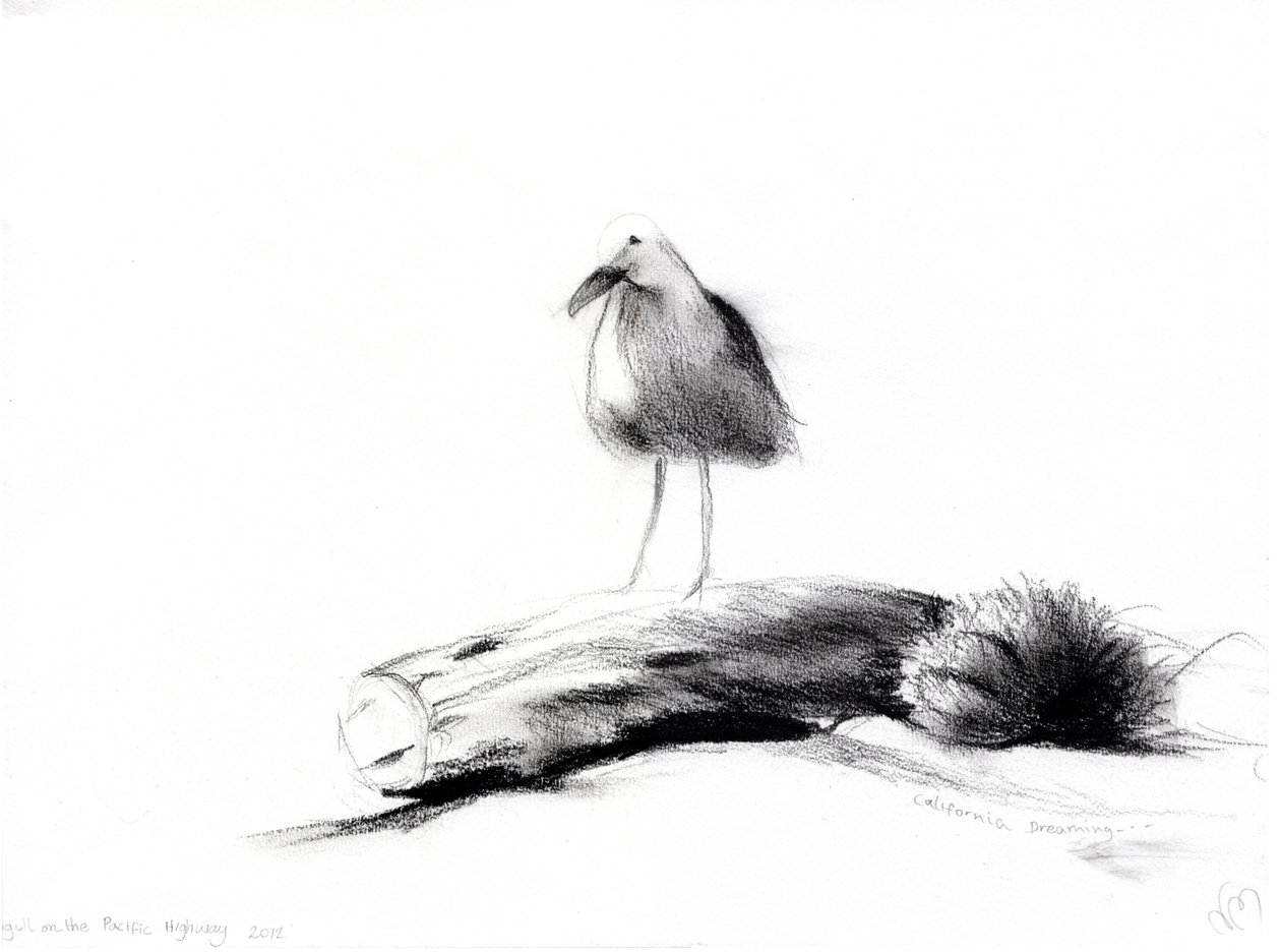California Seagull, 2012, (węgiel na papierze) autorstwa Nancy Moniz Charalambous