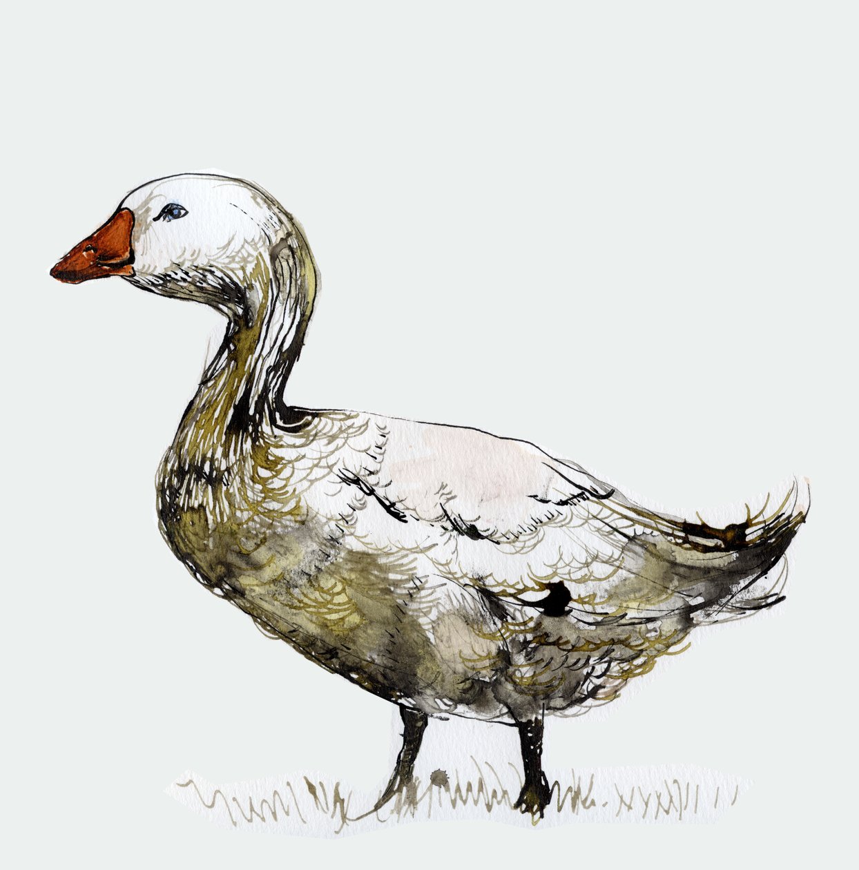Filthy Goose, 2017, (tusz na papierze) autorstwa Nancy Moniz Charalambous