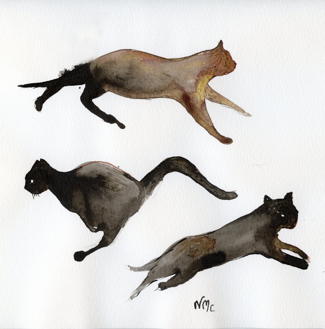 Run Cat Run, 2017, (tusz na papierze) autorstwa Nancy Moniz Charalambous