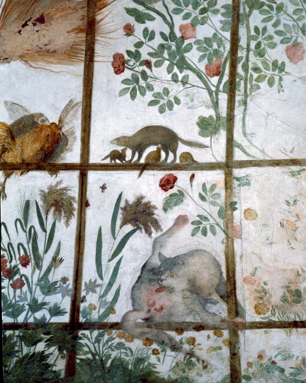 Przedsionek Studiolo Studium Francesco deMedici 1541-87 detal dekoracji przedstawiającej zwierzęta w pergoli ogrodowej, 1564-75 fresk autorstwa Bartolomeo Ammannati