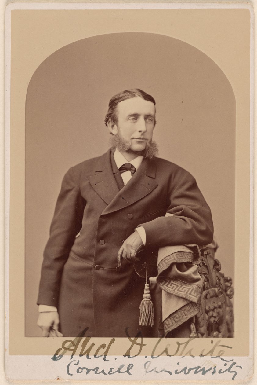 Andrew Dickson White autorstwa Napoleon Sarony