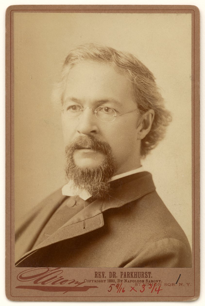 Charles Henry Parkhurst autorstwa Napoleon Sarony