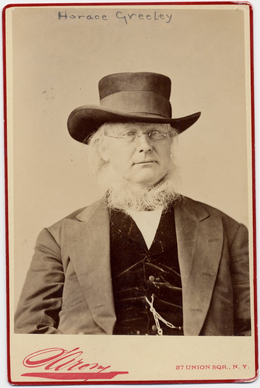 Horace Greeley (1811-72), amerykański polityk i redaktor gazet (zdjęcie w albumie) autorstwa Napoleon Sarony