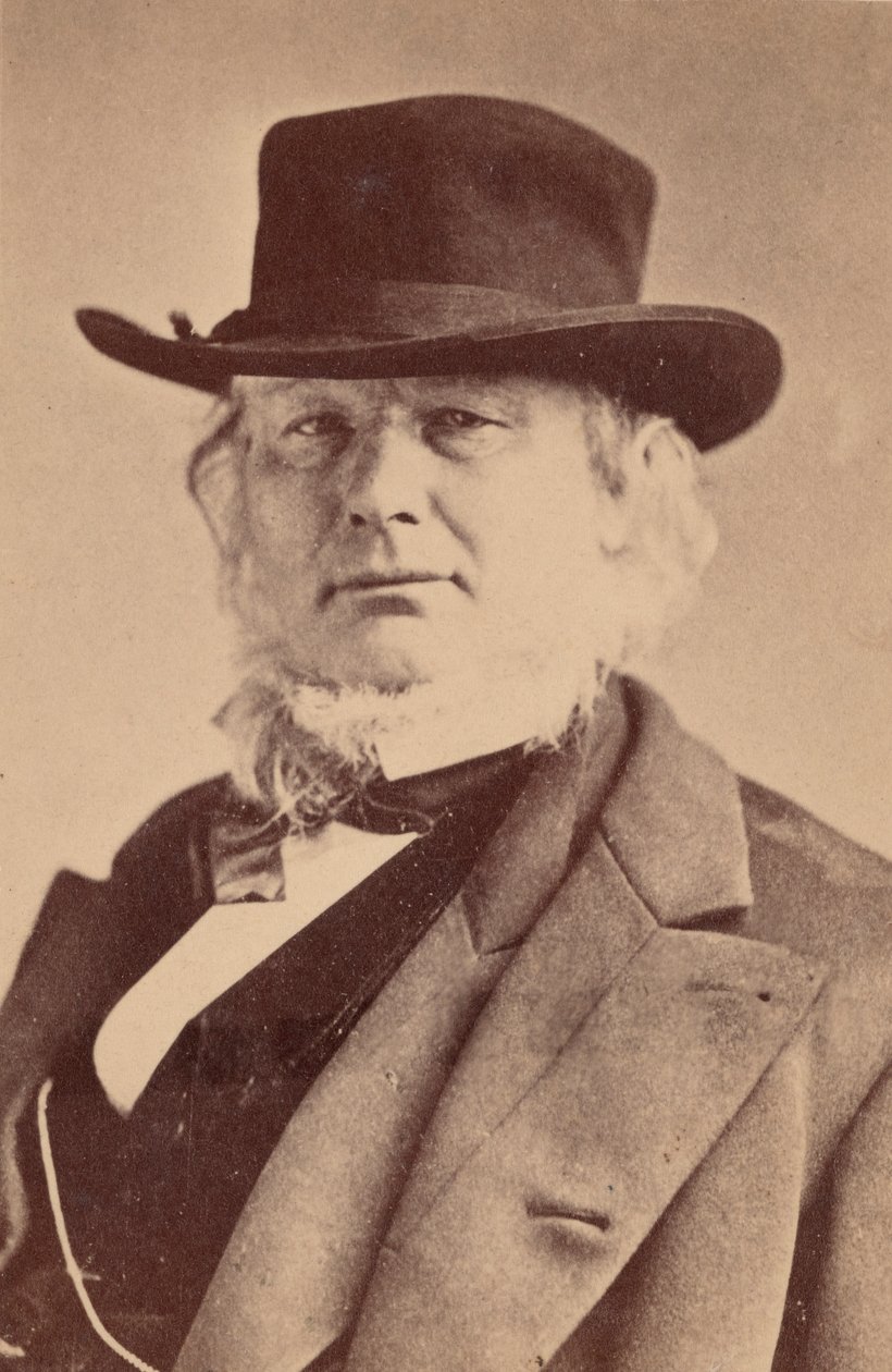 Portret Horacego Greeleya 1811-1872, 1869. autorstwa Napoleon Sarony