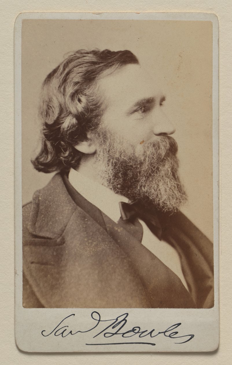 Samuel Bowles II autorstwa Napoleon Sarony