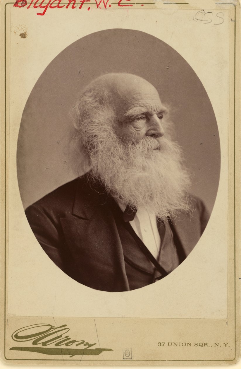 William Cullen Bryant autorstwa Napoleon Sarony
