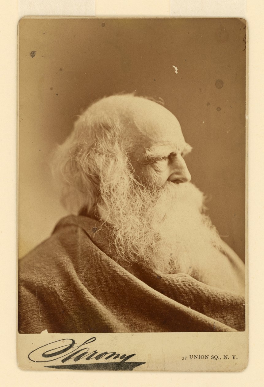 William Cullen Bryant autorstwa Napoleon Sarony