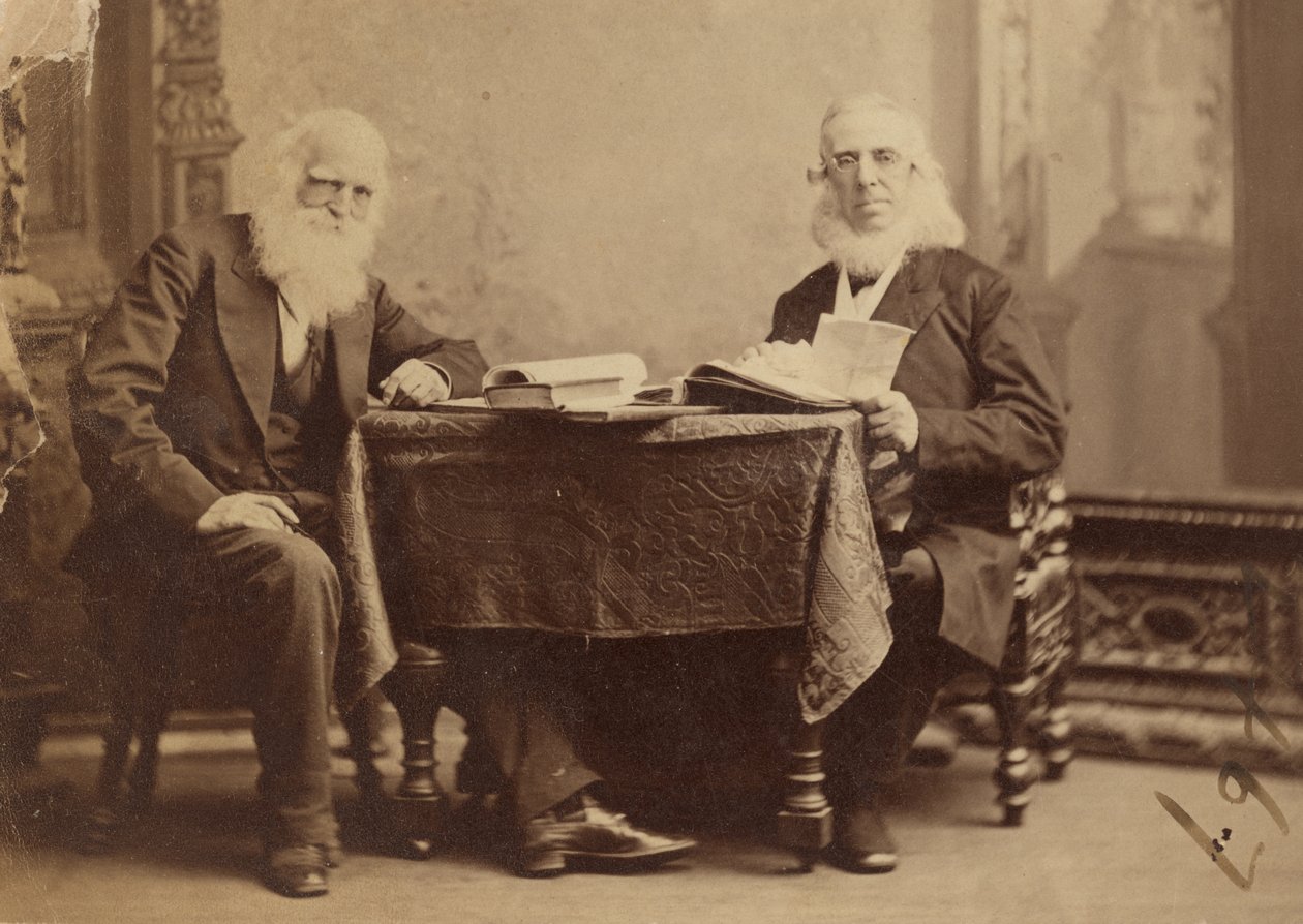 William Cullen Bryant i Peter Cooper autorstwa Napoleon Sarony