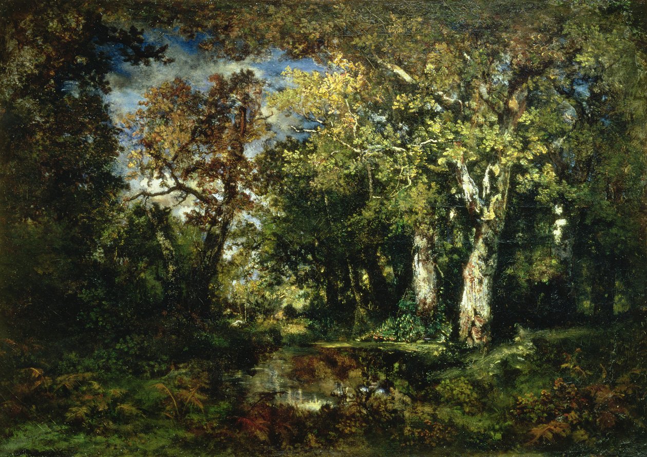 Las w Fontainebleau autorstwa Narcisse Virgile Diaz de la Peña