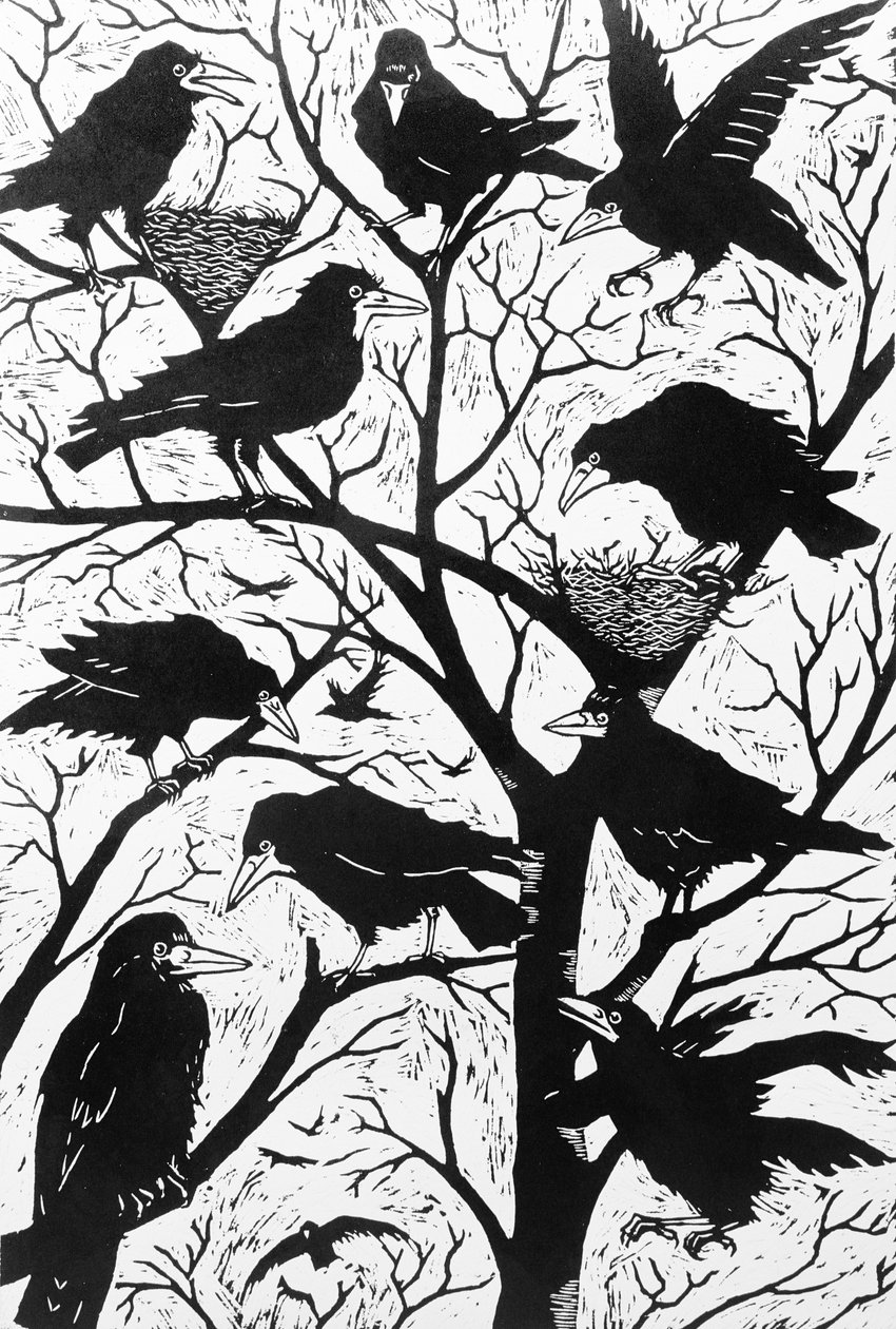 Gawrony, 1998 autorstwa Nat Morley
