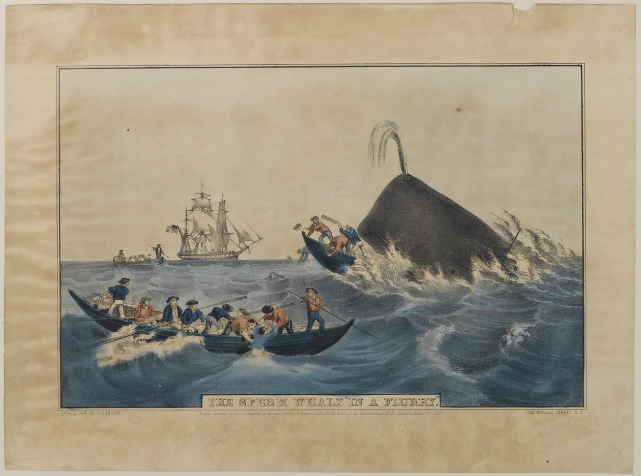 Kaszalot in a Flurry, opublikowany przez N. Currier, 1852 autorstwa Nathaniel Currier