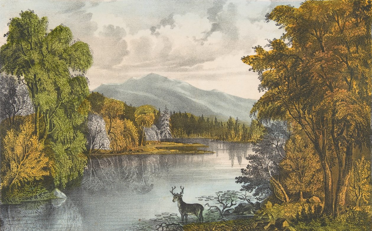 Jezioro Moosehead, Maine, 1857-72., 1857-72. Twórcy: Nathaniel Currier, James Merritt Ives, Currier i Ives. autorstwa Currier and Ives