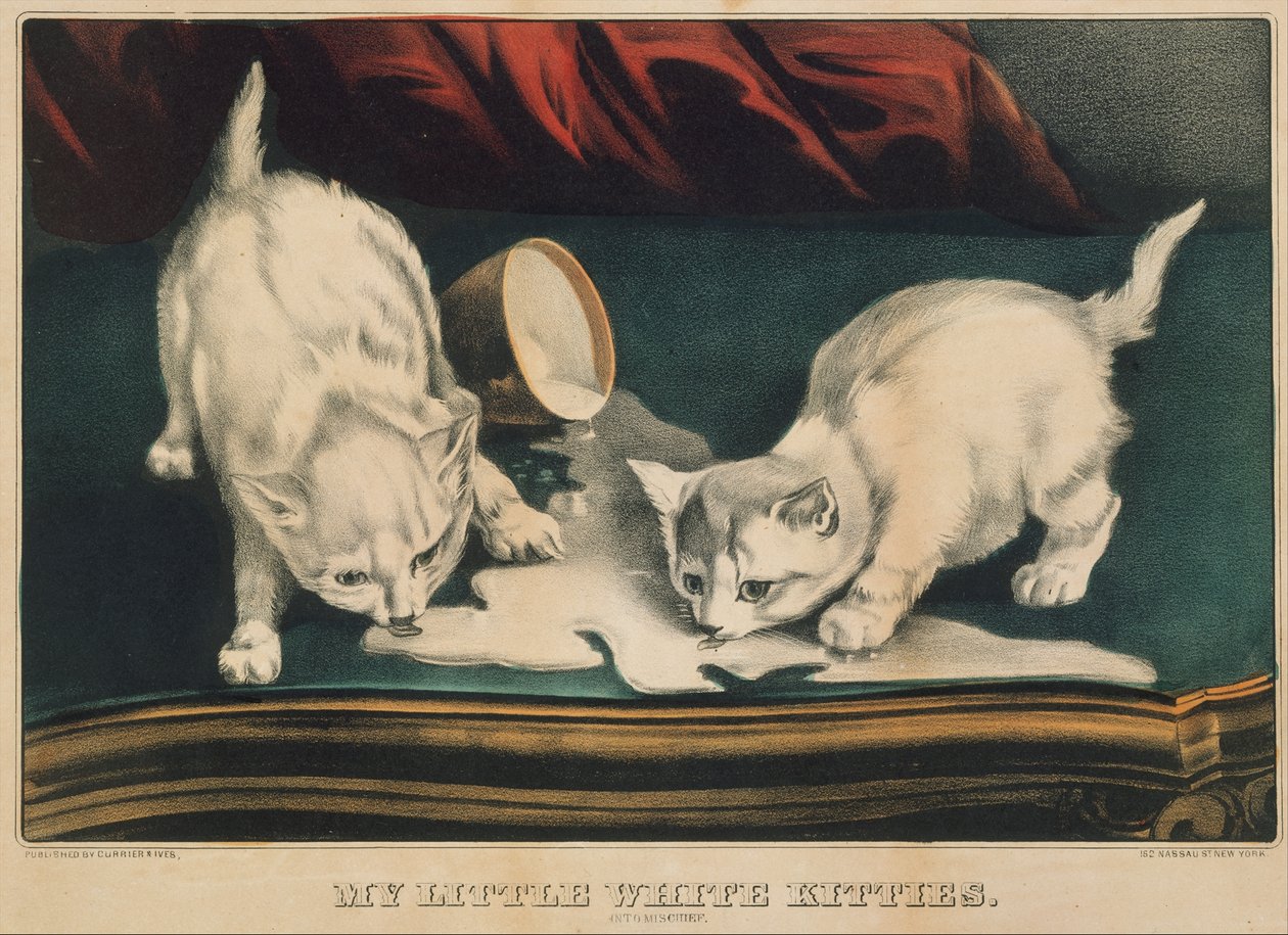 My Little White Kitties - Into Mischief, 1871., 1871. Twórcy: Nathaniel Currier, James Merritt Ives, Currier and Ives. autorstwa Currier and Ives