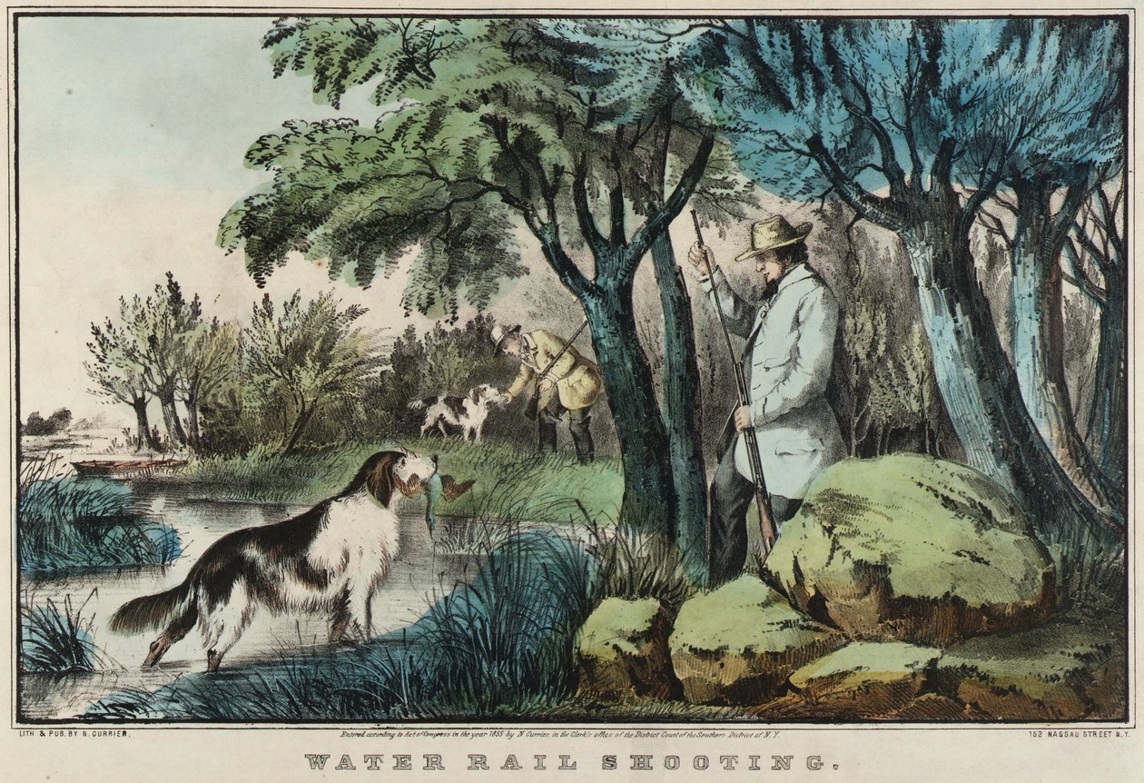 Strzelanie do kolei wodnych autorstwa Nathaniel Currier