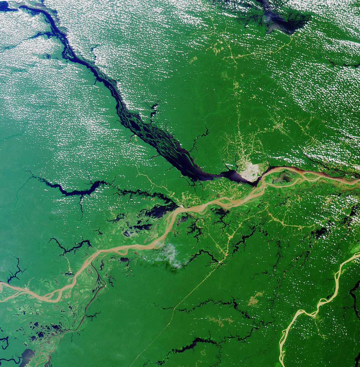 Zbieżność rzek Rio Solimoes i Rio Negro w pobliżu Manaus w Brazylii, tworząc rzekę Amazonkę, największą rzekę na Ziemi. Zdjęcie satelitarne 23 lipca 2000. Źródło: NASA. Geografia autorstwa National Aeronautics and Space Administration National Aeronautics and Space Administration