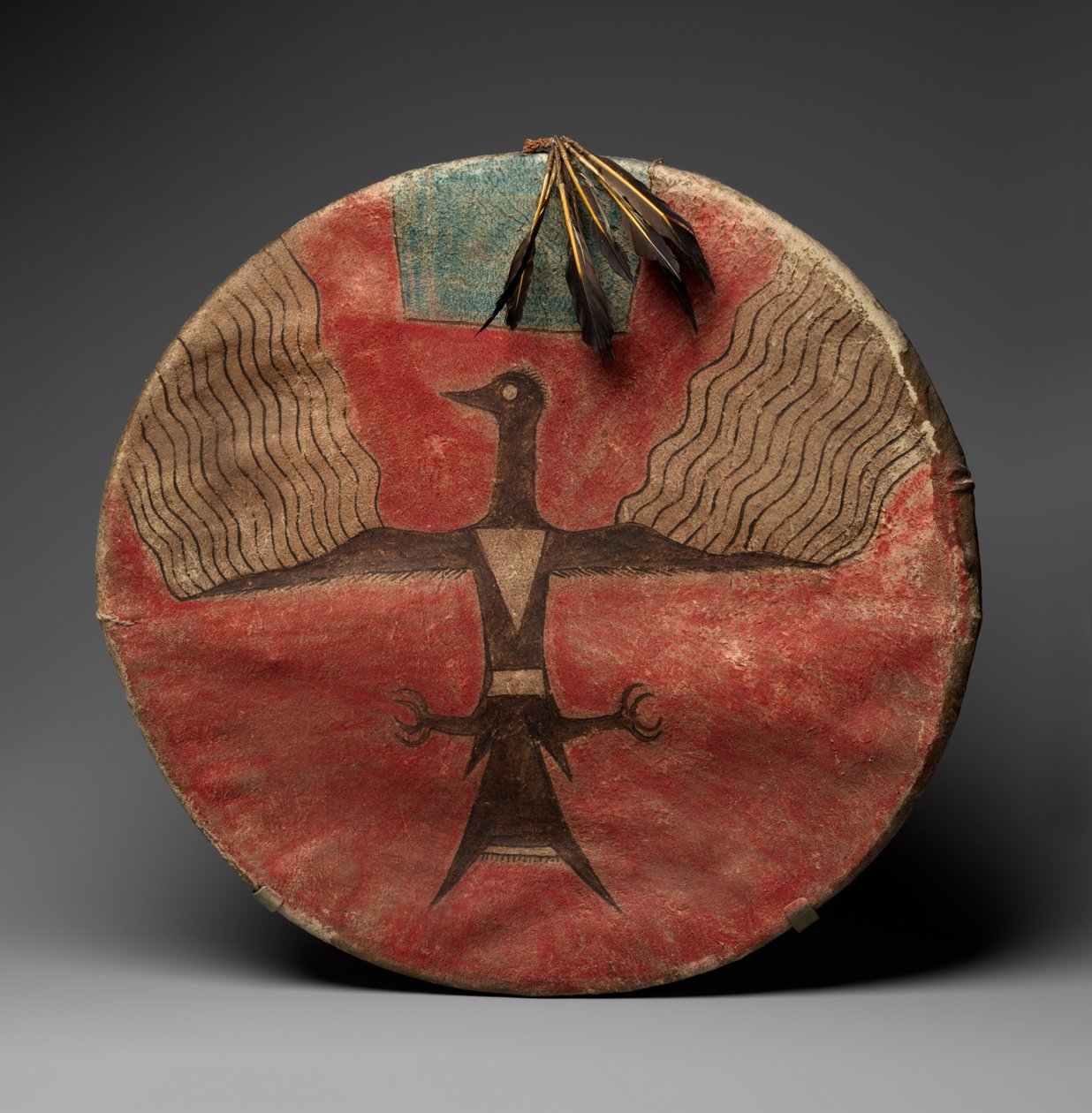 Tarcza, ok. 1885 r. (skóra garbowana, pigment, drewno i pióra) autorstwa Native American