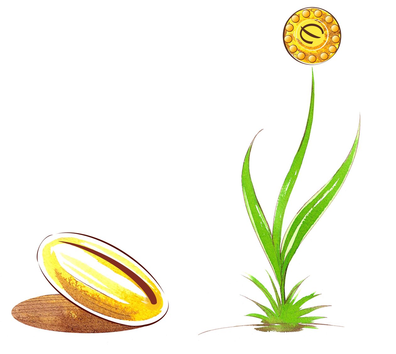 Nasiona i pędy - ilustracja alegorii finansowej autorstwa Neale Osborne