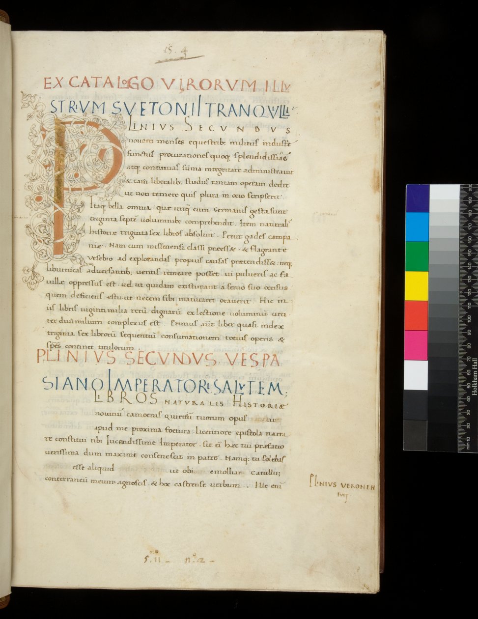 Pani 394,1. Pliniusz Starszy, Historia naturalis, f.1r. Iluminowany inicjał [P] z białą dekoracją pnącza (nieukończony), Neapol, poł. XV w., ok. 1442 (pergamin) autorstwa Neapolitan School