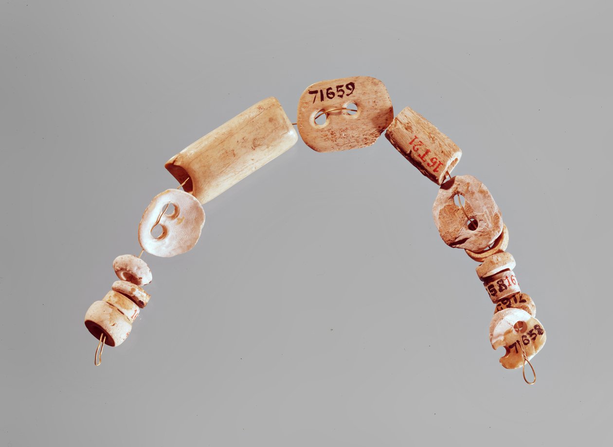 Naszyjnik lub bransoletka, kultura Seine-Oise-Marne, 2800-2000 pne (kość i wapień) autorstwa Neolithic
