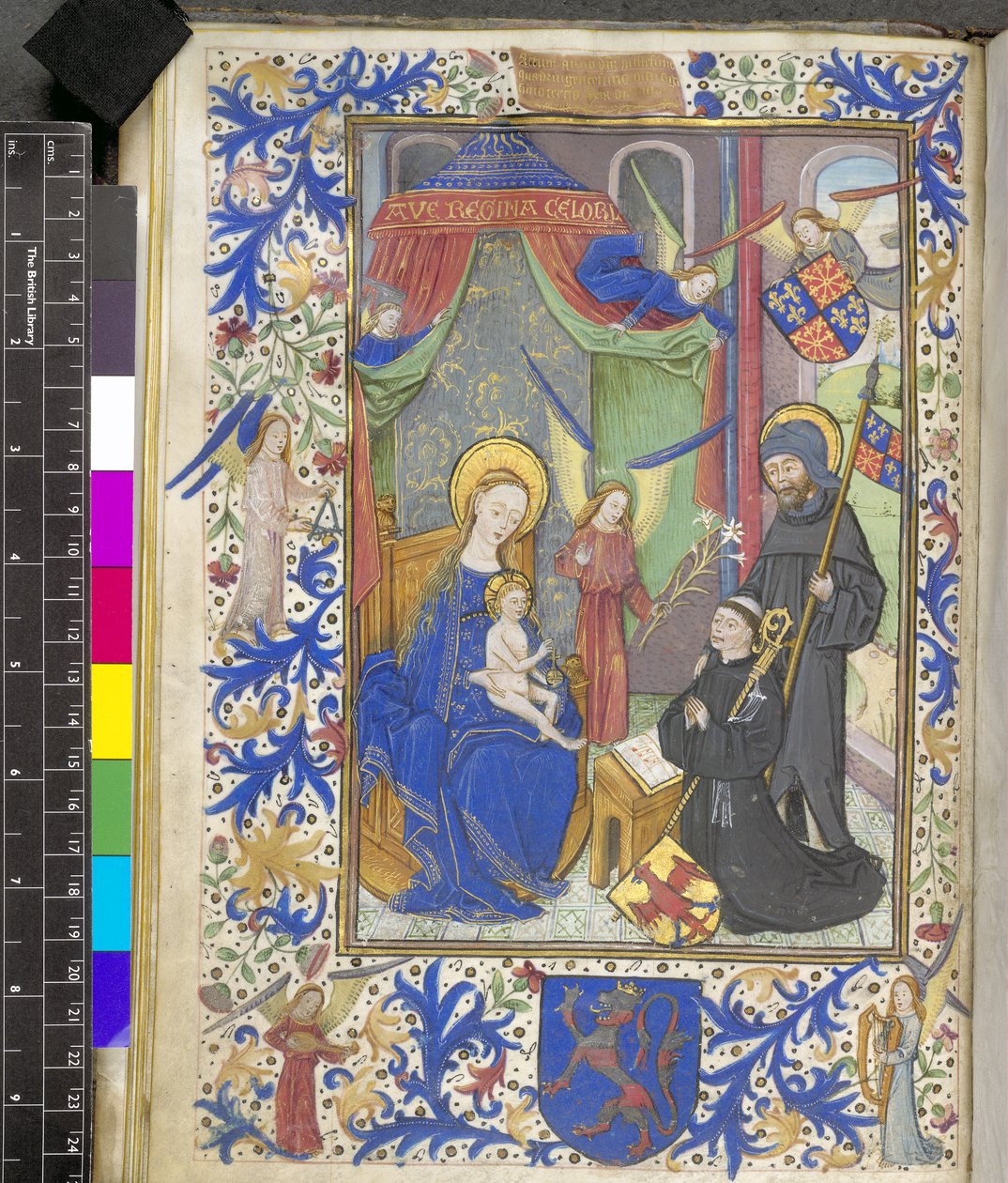 Dodaj 17440 f.13v Virgin of the Lily z patronem Willem van Bossunt, z Mszału Gandawskiego autorstwa Netherlandish School
