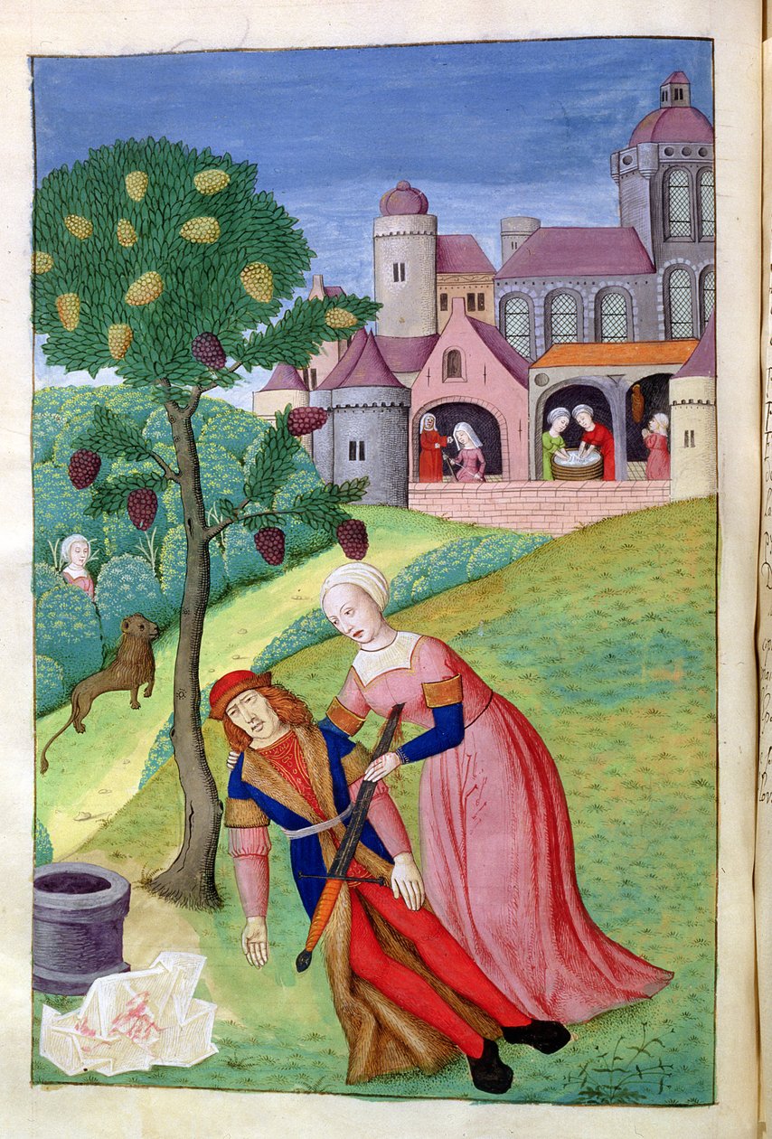 Ms 324 f.44 v. Alcithoe, Pyramus i Thisbe, Morwa zmienia kolor, z Metamorfozy Owidiusza, 1479 autorstwa Netherlandish School