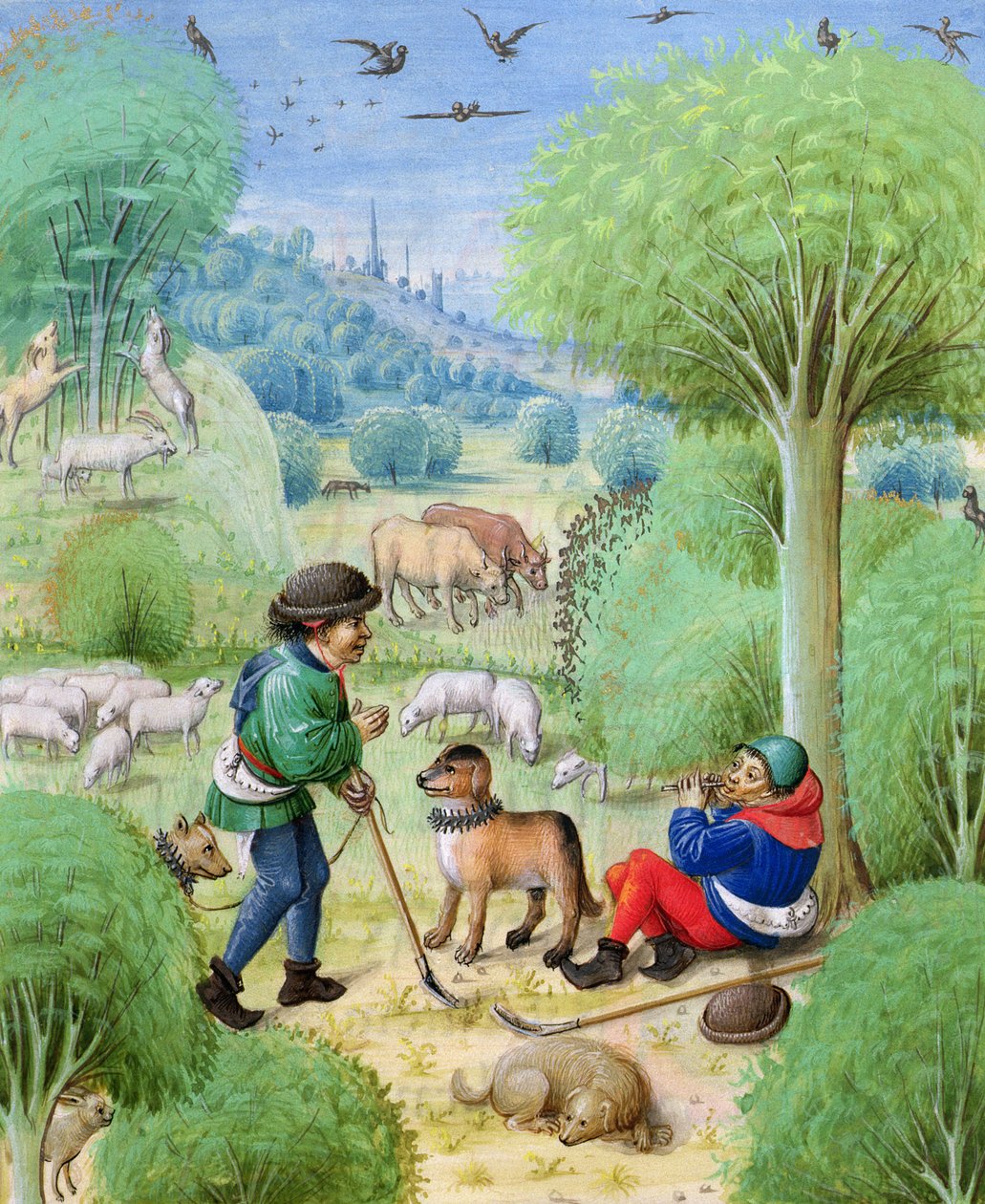p. 324 f.9 r. Scena pastoralna, z Eklog Wergiliusza, 1472-73 autorstwa Netherlandish School