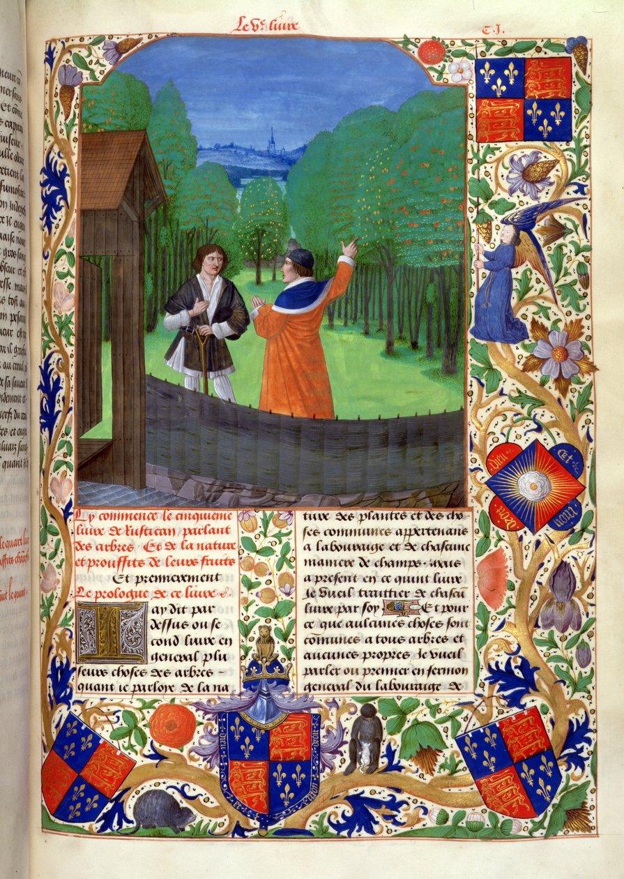 Roy 14 E VI f.110 Przemówienia autorskie do ogrodnika w sadzie z „Rustican du cultivement des terres”, wykonane dla Edwarda IV, Brugia autorstwa Netherlandish School