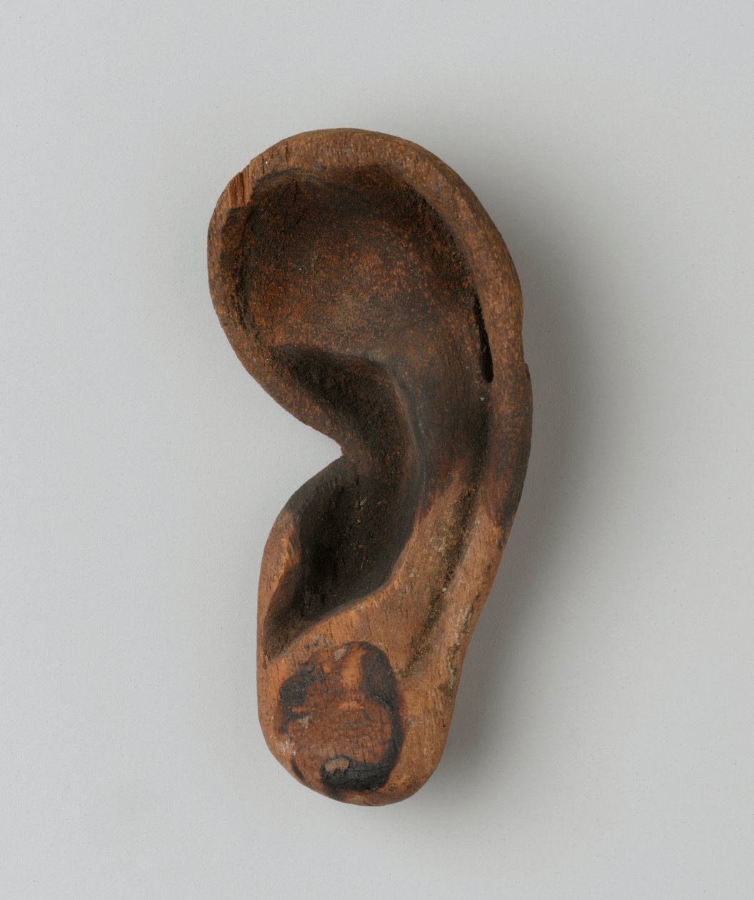 Ucho (drewno) autorstwa New Kingdom Egyptian