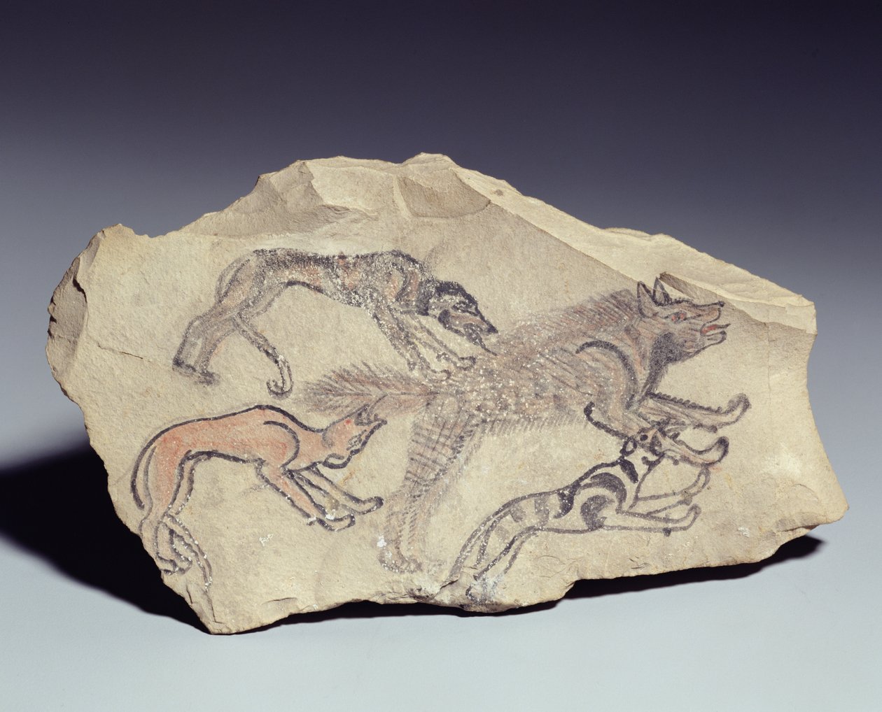 Ostracon przedstawiający psa goniącego hienę (wapień) autorstwa New Kingdom Egyptian