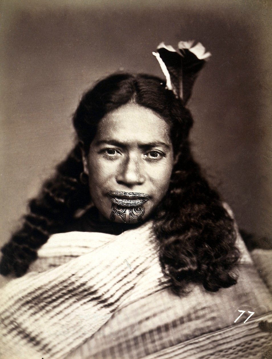 Portret Maorysa z wytatuowaną twarzą, ok. 1886-88 autorstwa New Zealand Photographer