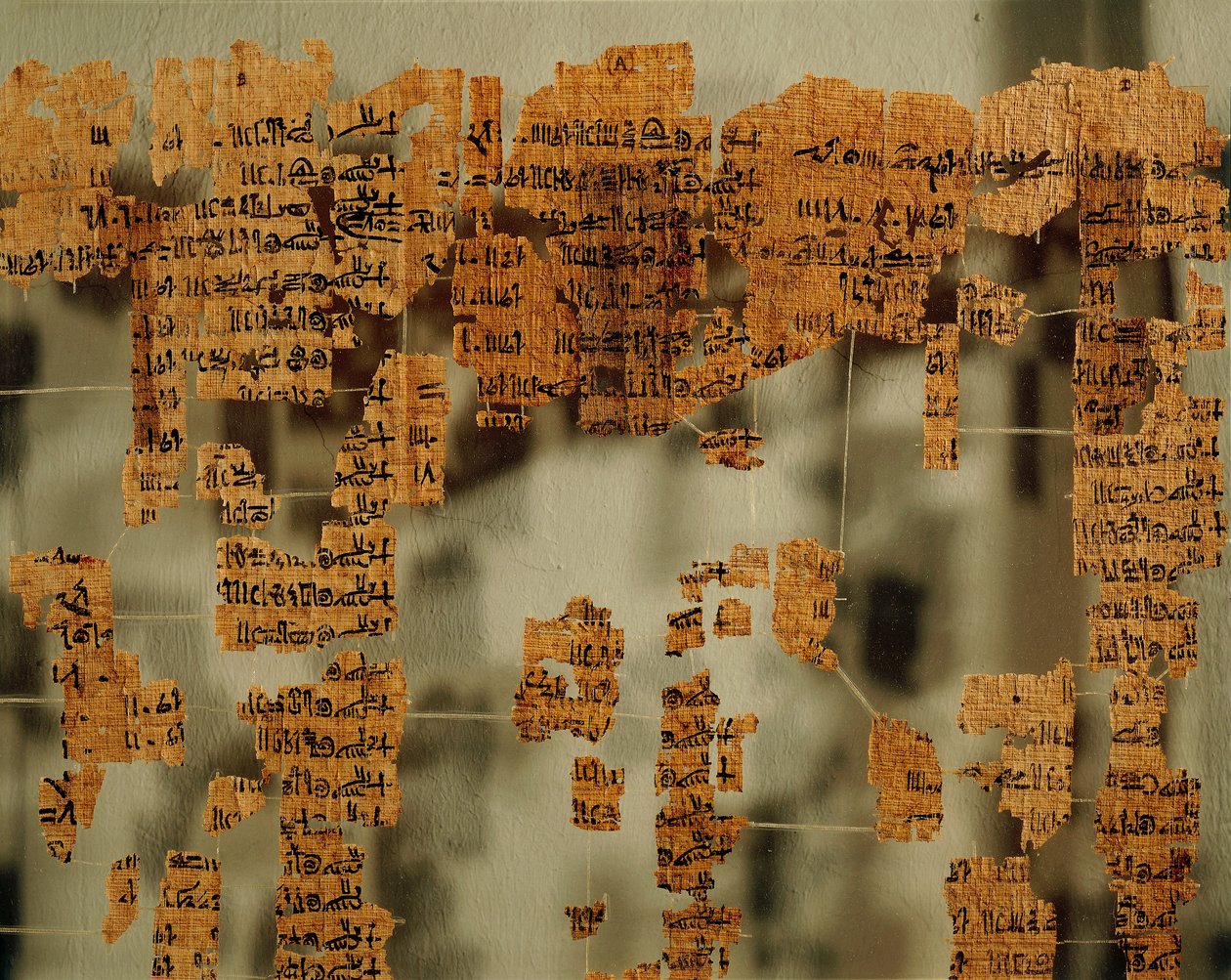 Fragmenty Papirusu Króla lub Kanonu Królewskiego (papirus) autorstwa New Kingdom Egyptian