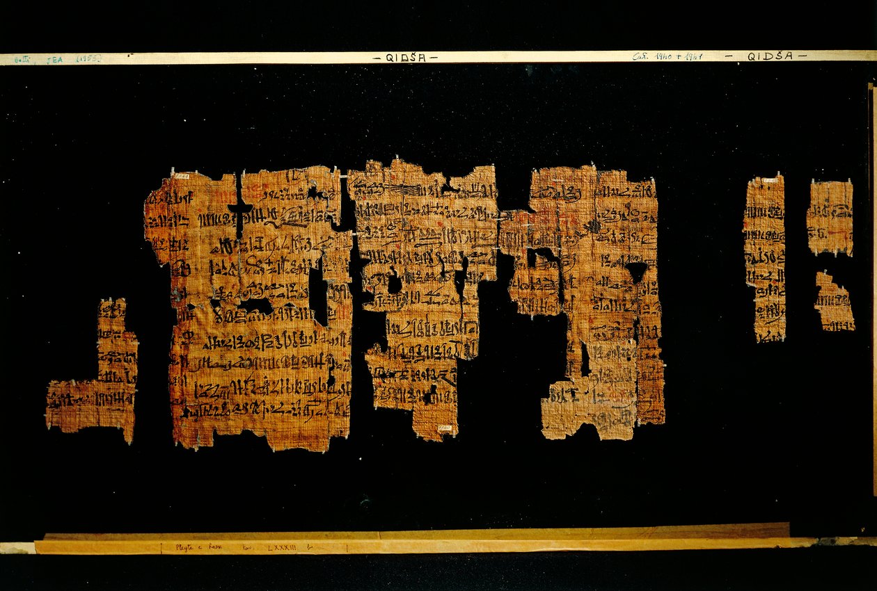 Fragmenty dokumentu zawierającego czyny faraona Totmesa III (papirus) autorstwa New Kingdom Egyptian