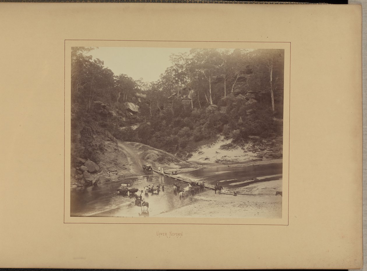 Górny Nepean autorstwa New South Wales Government Printing Office