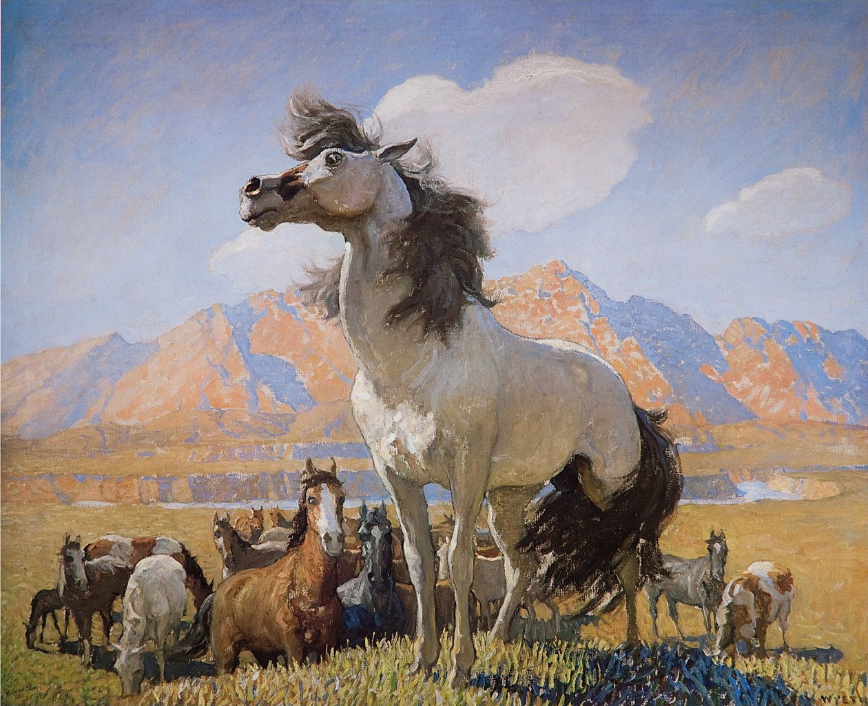 Smokey Facen autorstwa Newell Convers Wyeth