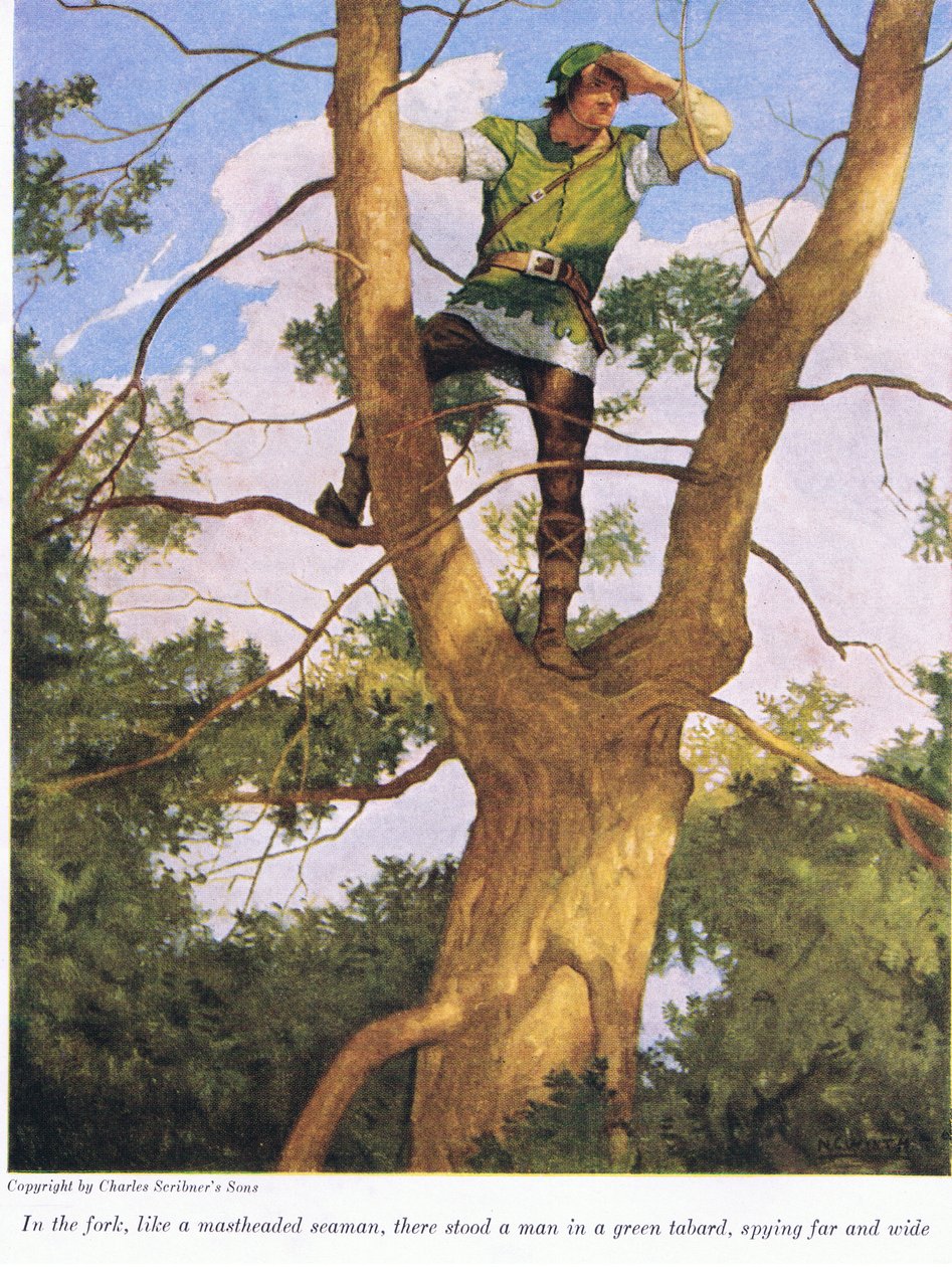 W rozwidleniu, niczym marynarz z głową masztu, stał mężczyzna w zielonym kubraku, szpiegujący daleko i szeroko, 1916 autorstwa Newell Convers Wyeth