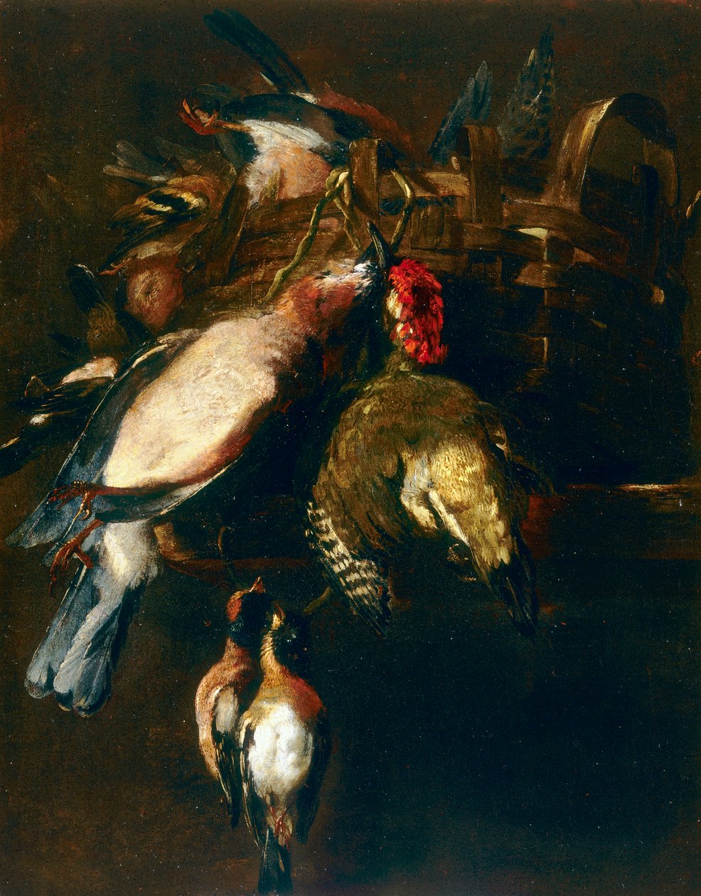 Martwa natura z tasiemcem, krabą i dwiema ziębami autorstwa Nicasius 1620 78 Bernaerts