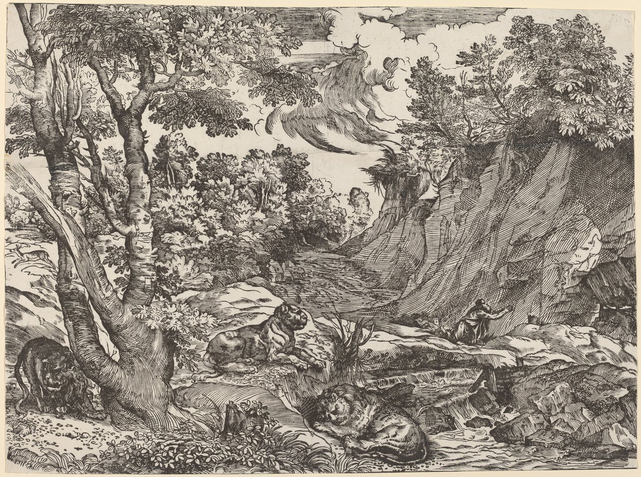 Święty Hieronim na pustkowiu autorstwa Niccolò Boldrini after Titian