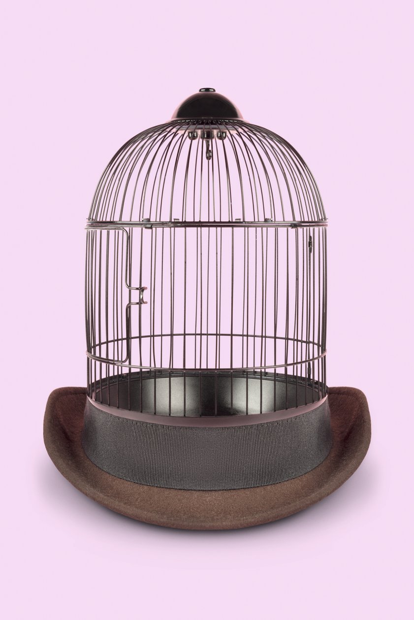 Mental Cage, 2020 (zdjęcie) autorstwa Niccolò Fioriti
