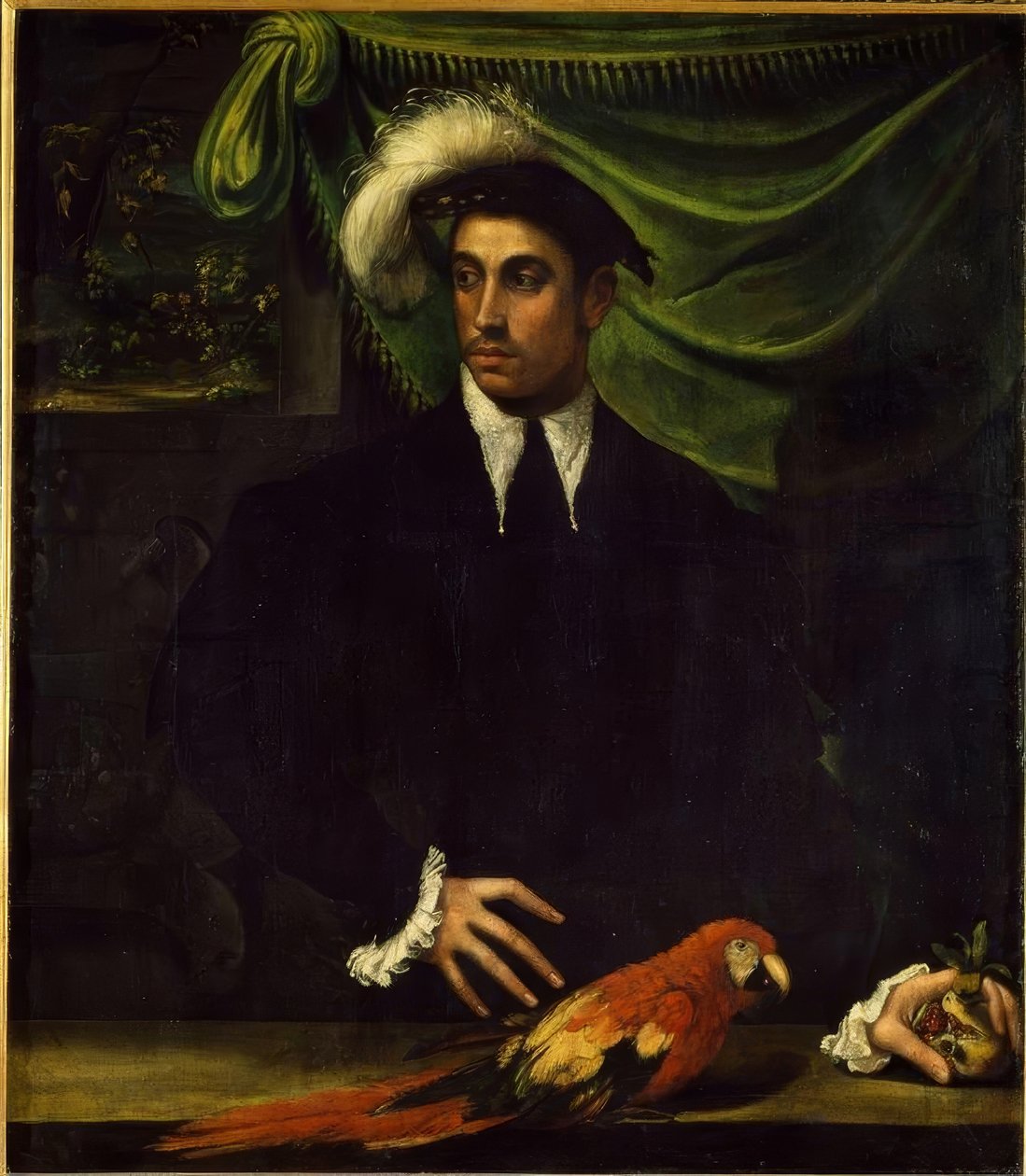 Portret młodego mężczyzny z papugą autorstwa Niccolò dell Abbate