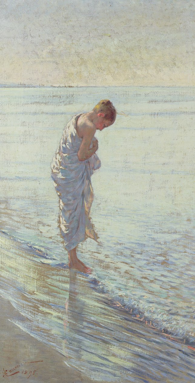 Una Conchigilia (Muszla), 1895 autorstwa Niccolo Cannicci