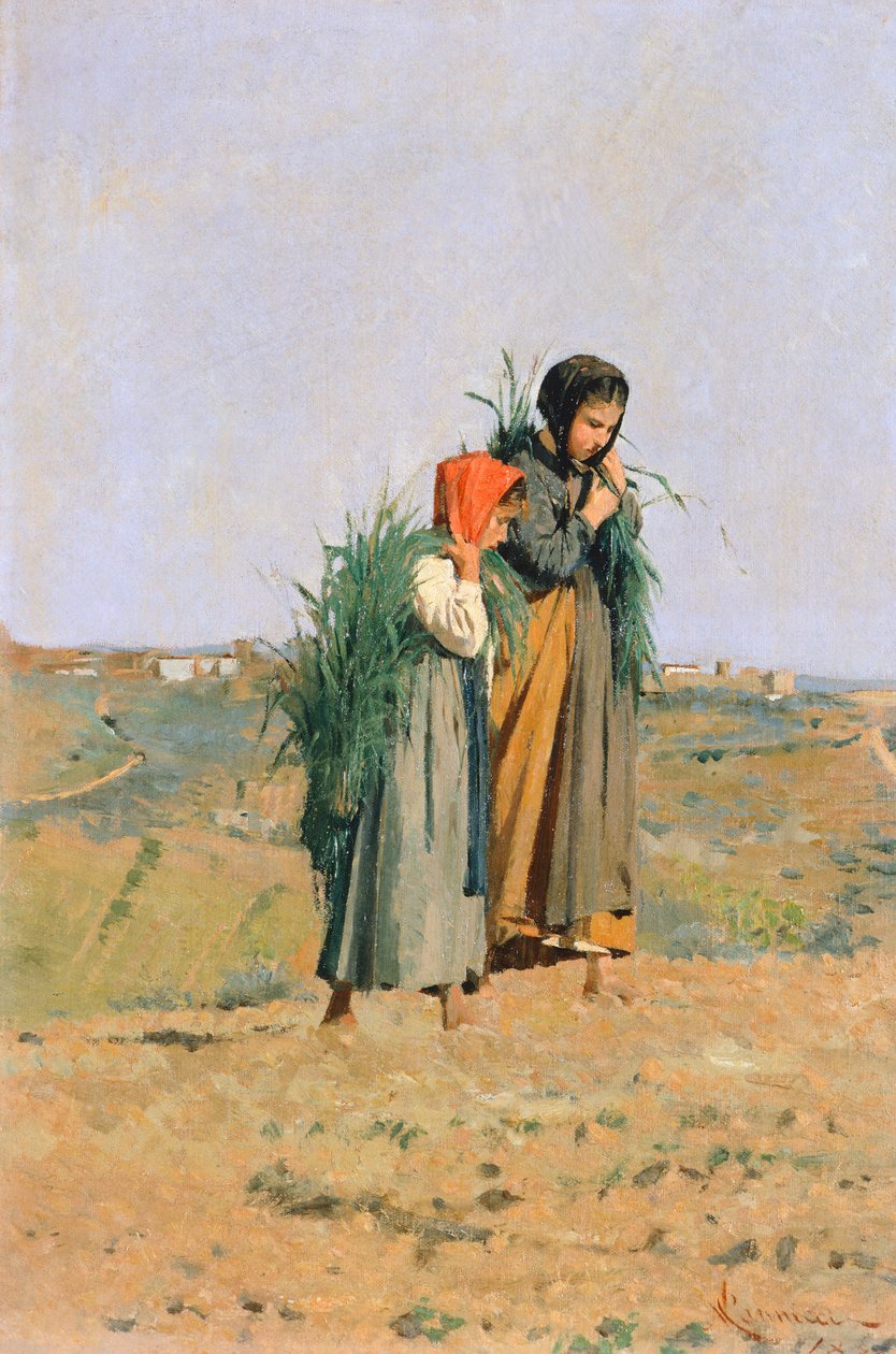 Erbaiole autorstwa Niccolo Cannicci
