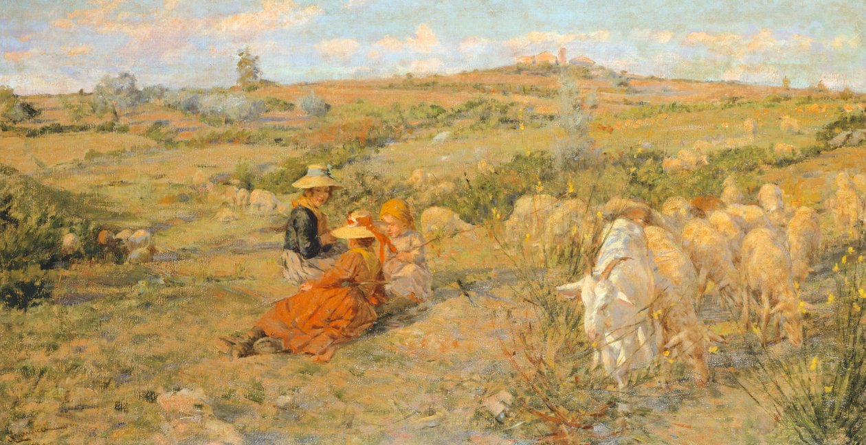 polish autorstwa Niccolo Cannicci