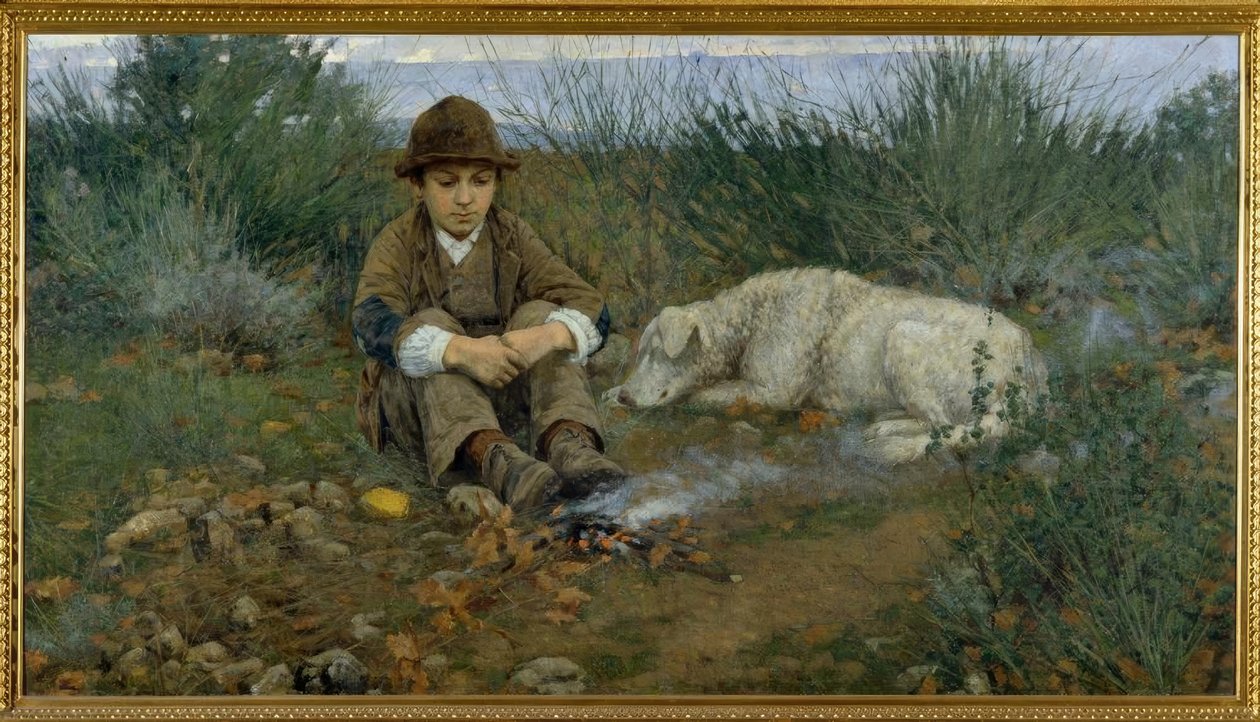 W lesie autorstwa Niccolo Cannicci