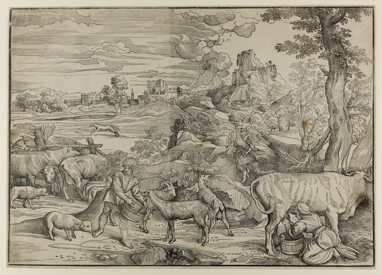 Dojarka autorstwa Nicolò Boldrini