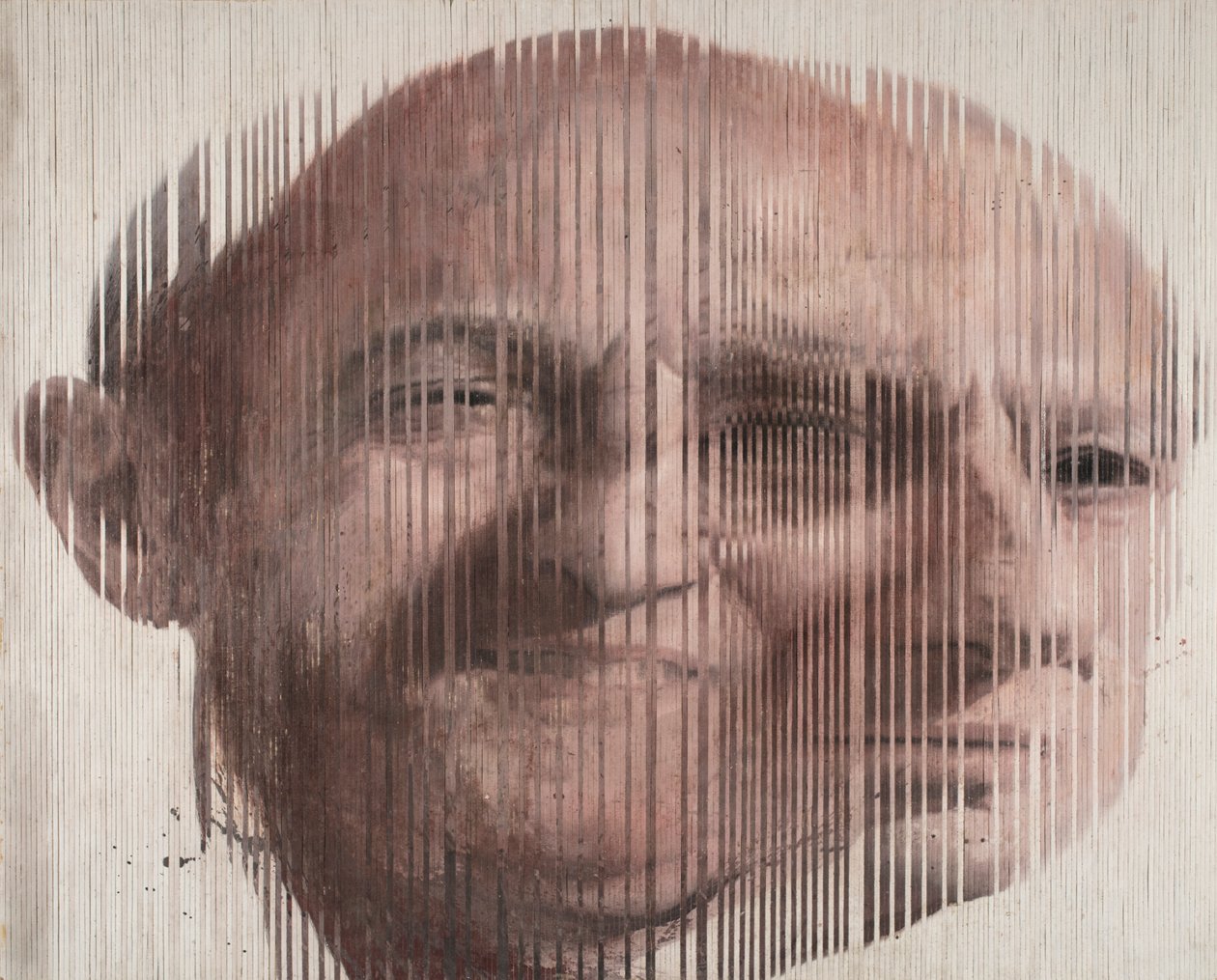 Face Fusion I, 2007 (olej na płótnie wycięty i nałożony na płytę) autorstwa Nicola Pucci